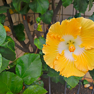 2020-06-16_13-14-15_HDR.jpg
