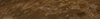 Horizontal Image (5).png