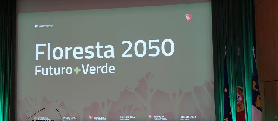 Plano Floresta 2050: 6.500 milhões de euros para gestão ativa sustentável