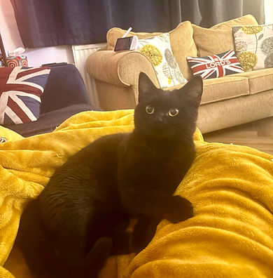 WhatsApp Image 2025-10-22 at 12.57.01.jpeg