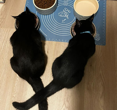 WhatsApp Image 2026-02-27 at 21.50.58.jpeg