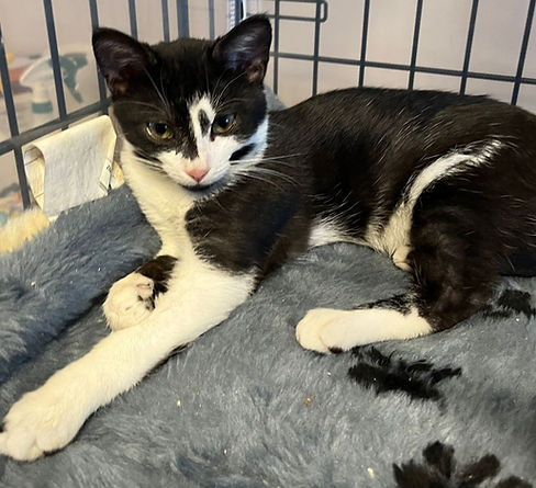 WhatsApp Image 2025-12-03 at 18.47.28.jpeg