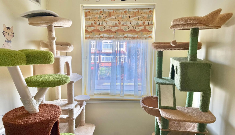 WhatsApp Image 2026-02-04 at 14.00.56.jpeg