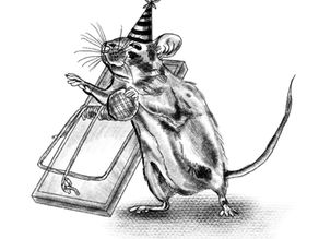 The Mouse in My Own Home by Anonymous