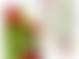 Afterthought by Maya Worthington 