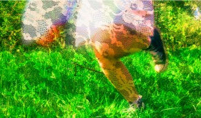 The America I Love by Harper Howze