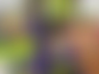 Los campeones retuvieron; Lola Vice pidió revancha tras el combate. Resultados AAA Alianzas San Pedro - 7 de septiembre de 2025