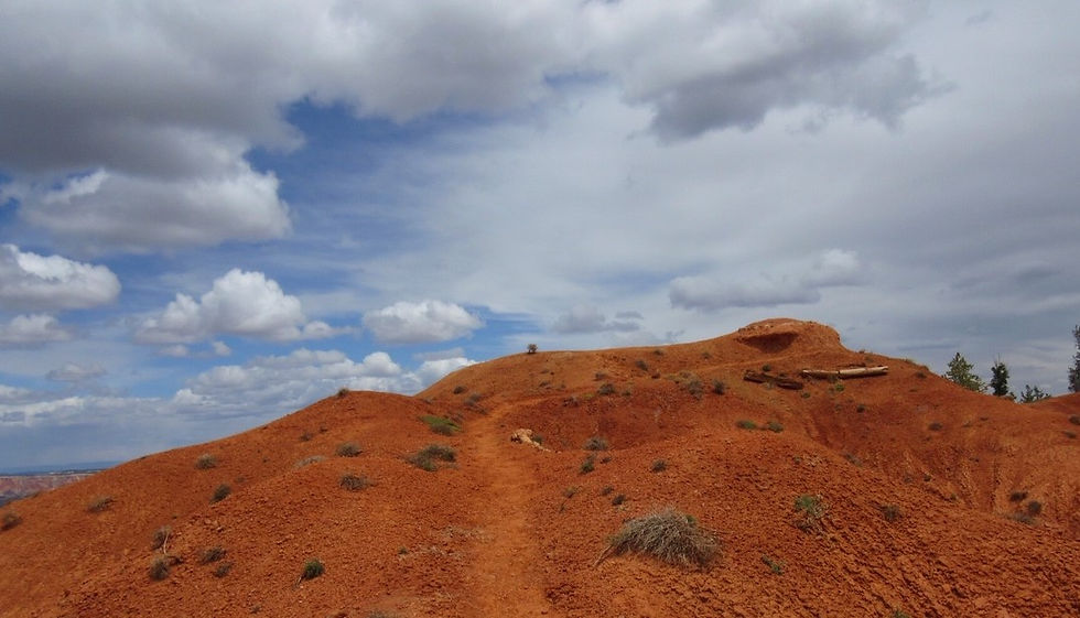 The Path (Cropped).jpg