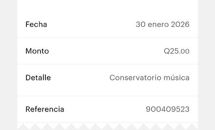 Ejemplo Boleta.jpg
