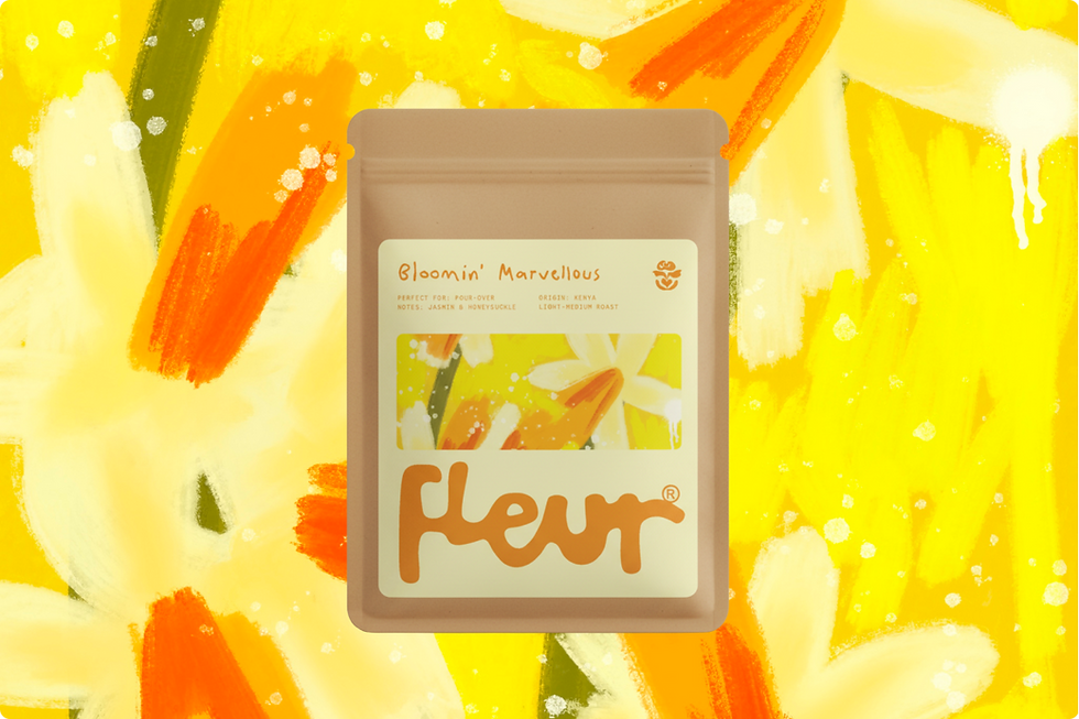 Fleur coffee pouch mockup for the Bloomin' Marvellous blend, featuring original daffodil artwork by Mitson, set against the full painting.