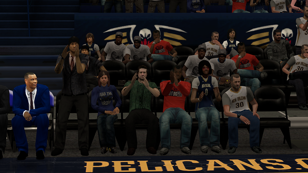 PELICANS HD 19