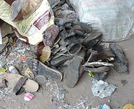 DSCN9613.JPG