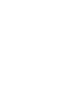 Group 9 (1).png