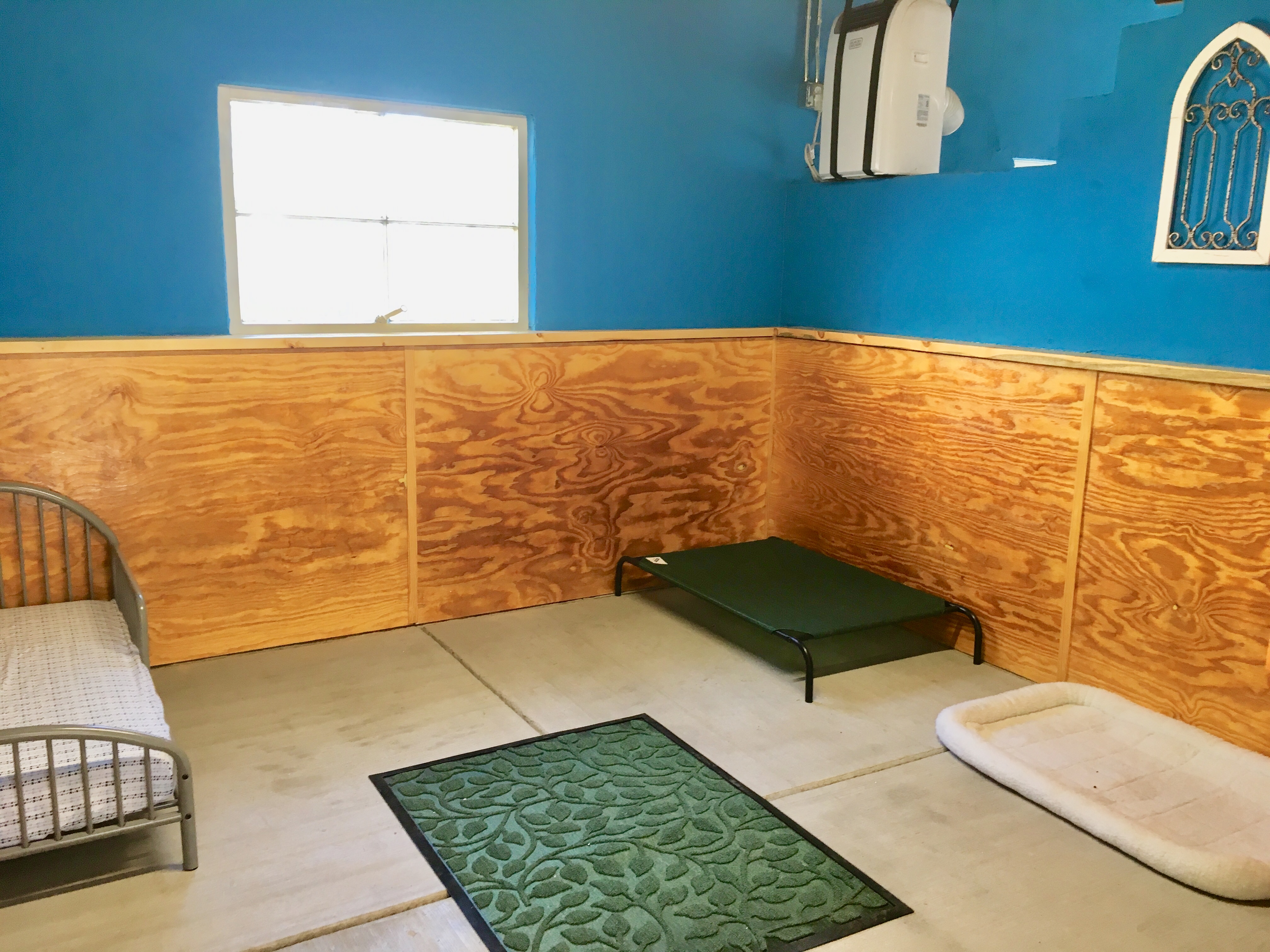 luxury boarding kennels