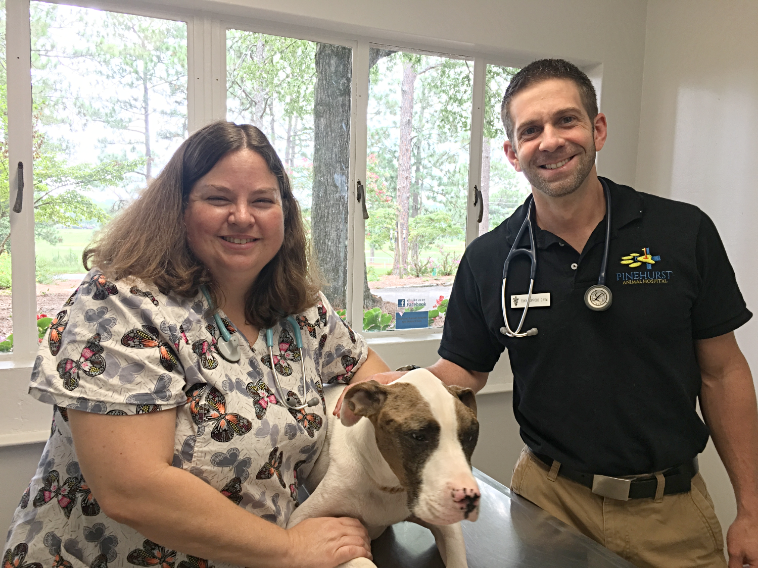 sandhill animal hospital