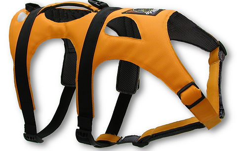 Three Pont Harness
