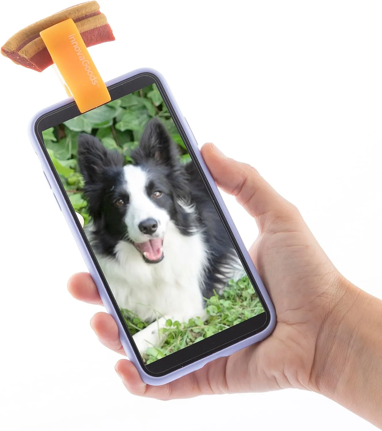 Clip pour Selfies pour Animaux Familiers Pefie InnovaGoods