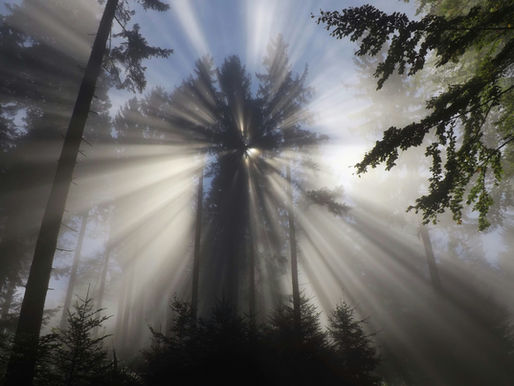 Anchoring to the Present: Find Calm and Ease Anxiety Through Grounding