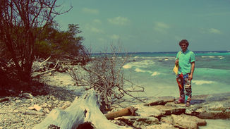 Coconuts And Grapefruits