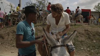 Festival Del Burro