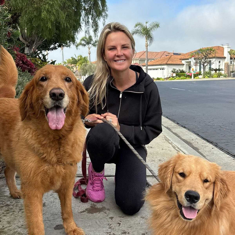 A happy dog being walked outdoors