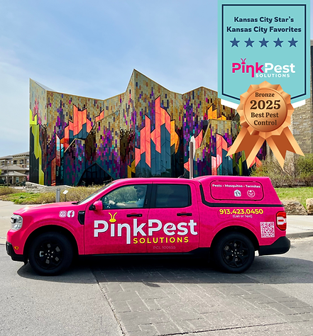 2025 (1200 x 628 px) (Facebook Post (Square)).png