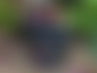 Buzz Off: Effective Mosquito Control + DIY Tips