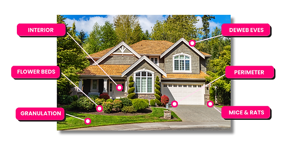 Full Service Pest Control