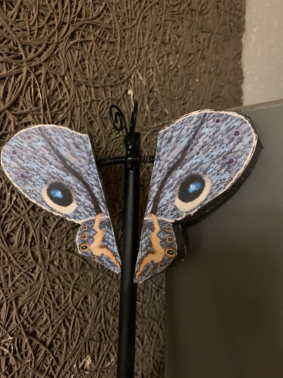Butterfly Puppet