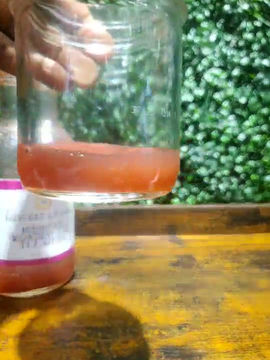 Herbetarian's Hibiscus Wonderland Tea Moss