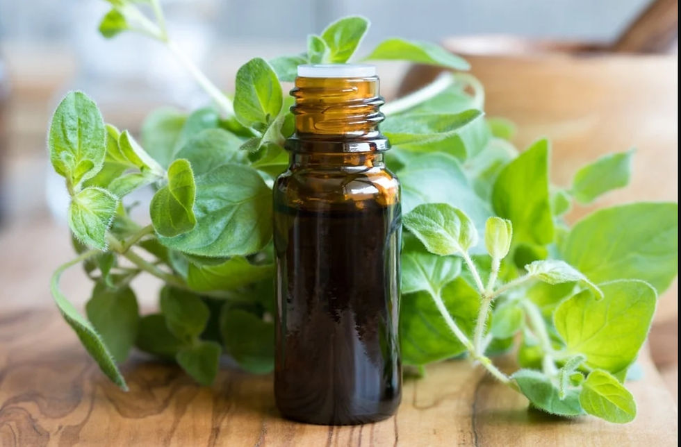Herbetarian's Oregano Essential Oil
