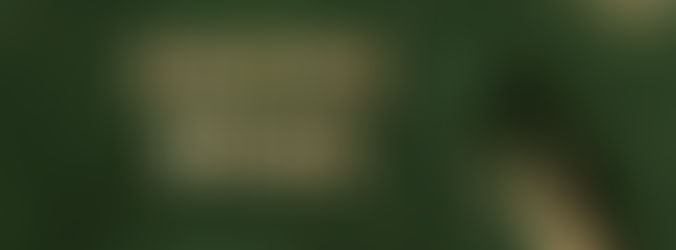 Detoxing with Herbal Green Superfoods