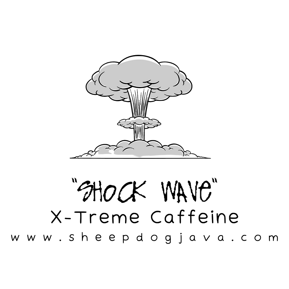 "SHOCK WAVE"