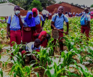 ISEC Malawi's Greener Schools Campaign