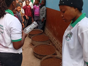 From Environmental Clubs to Community Impact: How ISEC Cameroon Is Advancing Zero Waste in Bamenda