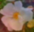 20190925_231312.jpg