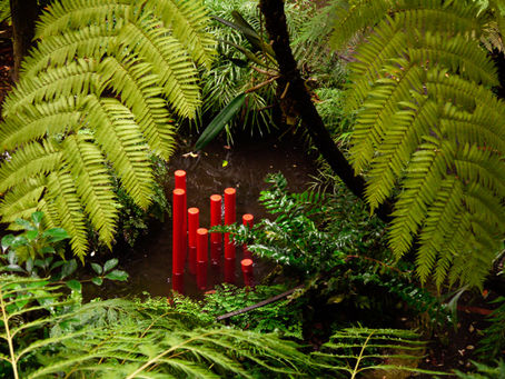 Un viaggio onirico tra le radici dell’arte. “Il sogno verde” arriva all’Orto botanico di Napoli