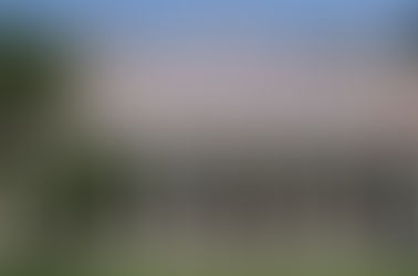 Una lunga strada tutta da visitare. Tornano le Giornate di primavera del FAI.