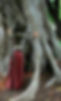5D9AF22A-7C0B-4278-B4A6-8FF219B6A60C.jpe
