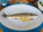 Branzino aus dem Ofen
