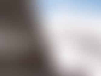 Open Enrollment is Closed. Now What?