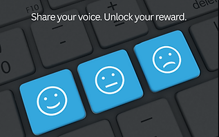 Post-Benchmark Survey (Website).png