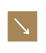 Website Prototype (8)_edited.png