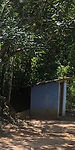 toilet 2.jpg