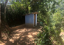 toilet 3.jpg