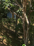 toilet 4.jpg