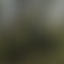 Congratulations Paul & Marilyn