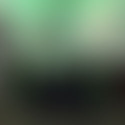 Hats off to Mr. Holifield!