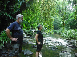 Caminata por Rio Terco