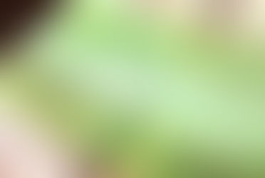 RC-AUTO, LA CARTA VERDE PER L'ESTERO NON È PIU’ VERDE